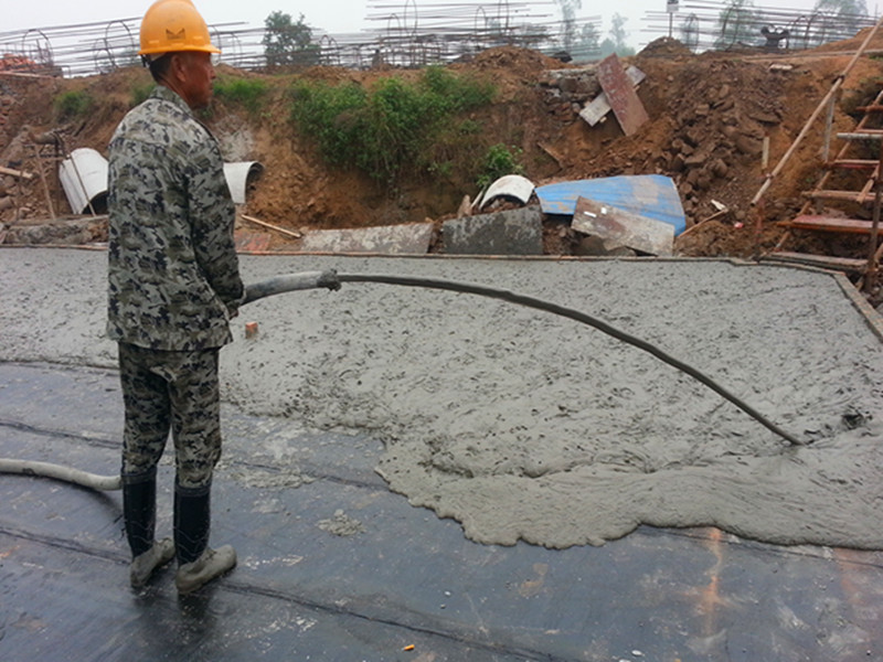 �F����ĭ������